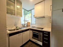 The Levelz (D10), Condominium #477282481